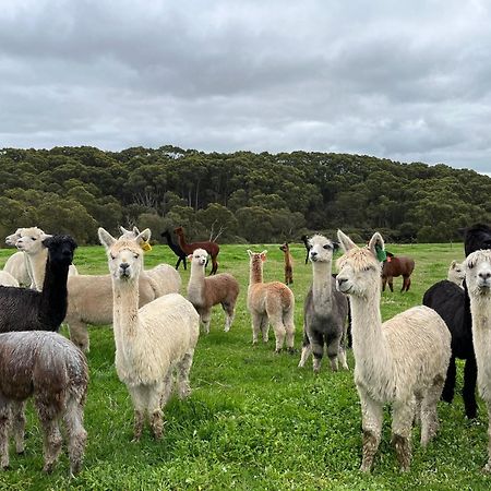 Twelve Apostles Motel & Country Retreat Princetown Exteriér fotografie